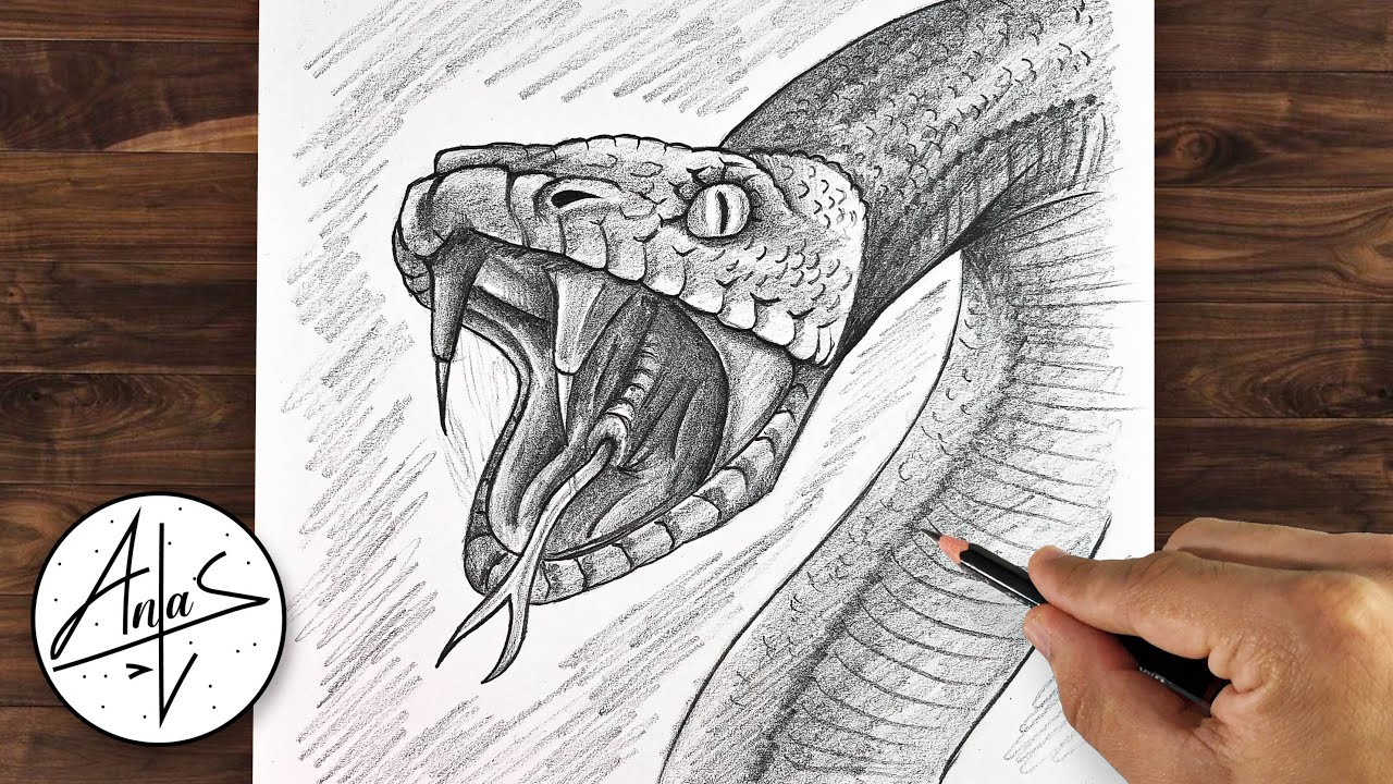 3D snake drawing by DevonDavis on DeviantArt